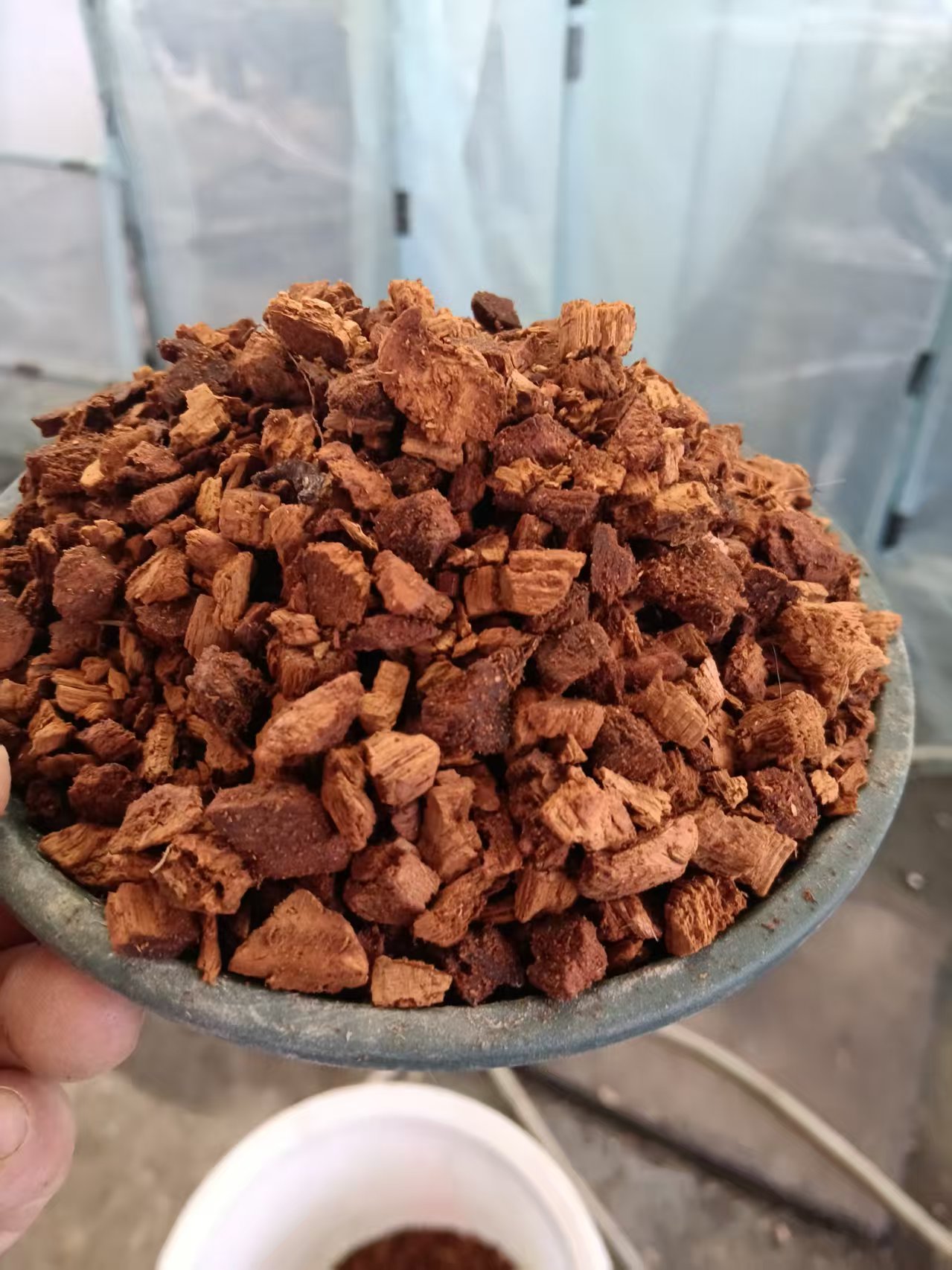 碳化松心兰花专用植料 