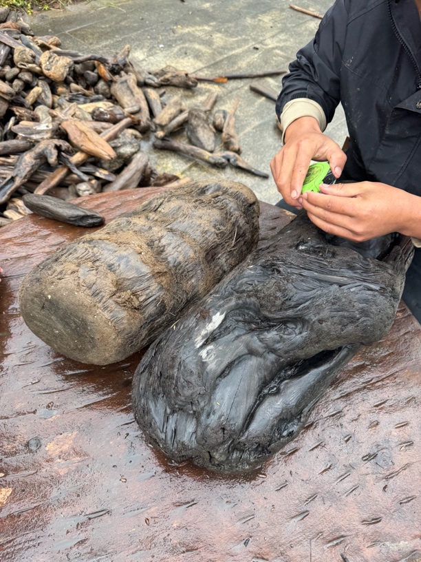 民间使用风化木阴沉木