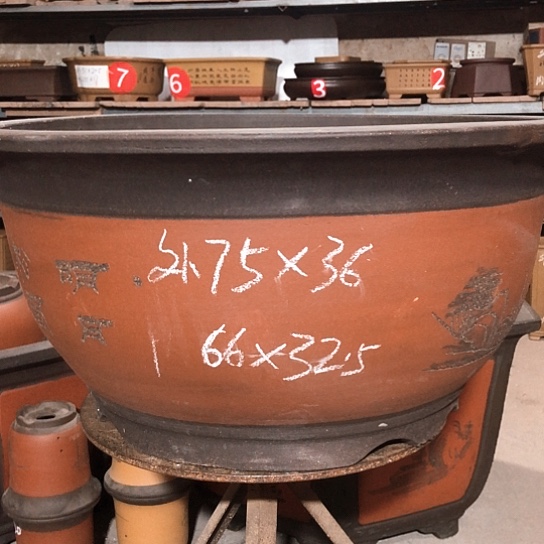 紫砂紫砂花盆包邮