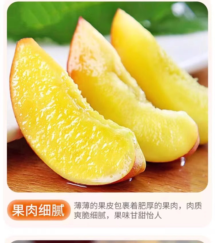 新鲜黄心油桃当季桃子脆甜蜜桃黄肉水果包邮
