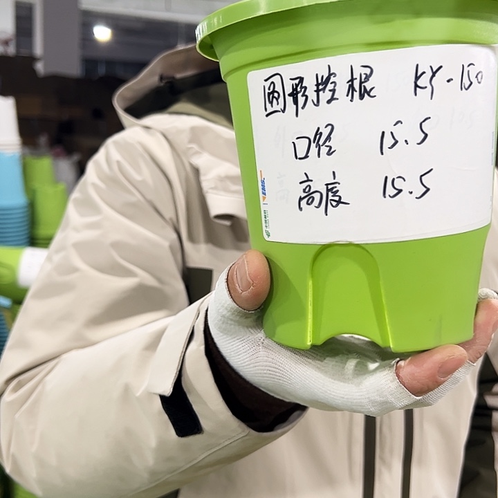 正品圆控口15高15白色10个无托