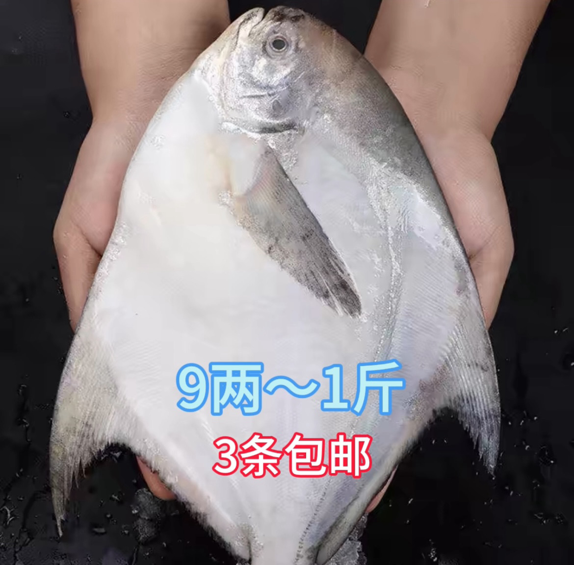 新鲜 大银鲳鱼9两～1斤（3条包邮）顺丰包邮液氮锁鲜发货