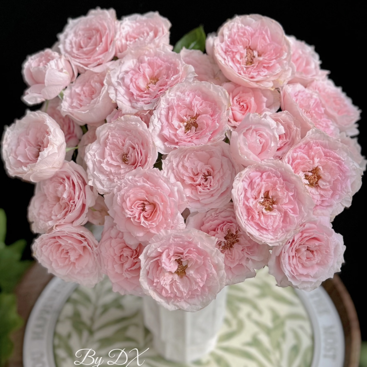 两单包邮！玉脂玫瑰10只（20%不售后）