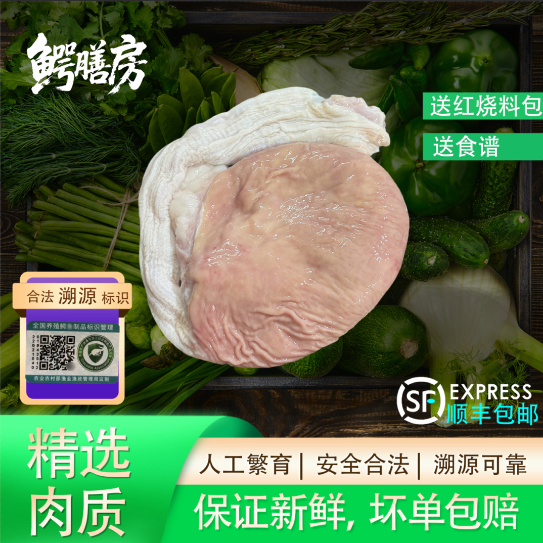 新鲜鳄鱼肚 鳄鱼肚子 现杀青年鳄鱼 红烧爆炒卤味人工养殖