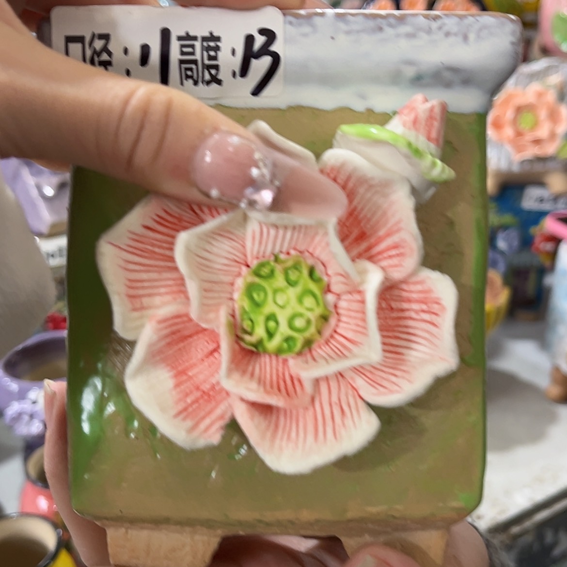 【闪购商品】红陶福利