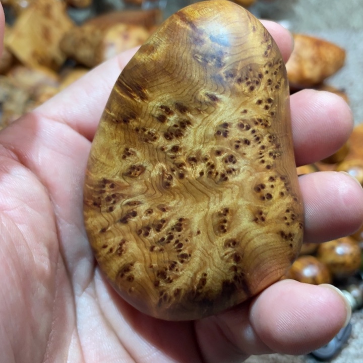 其他柏木（崖柏）把