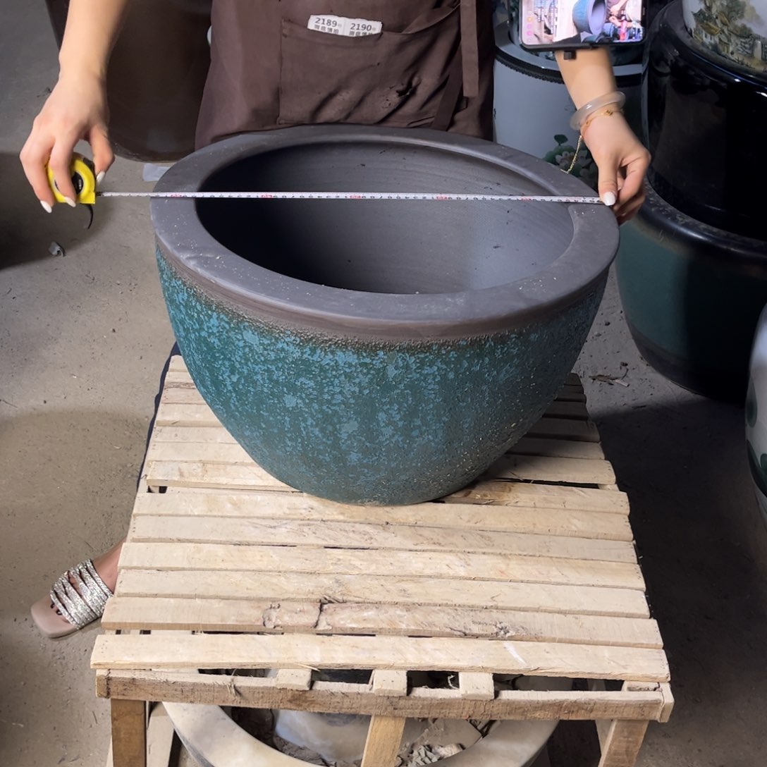 瓷片兰泡52.88888888