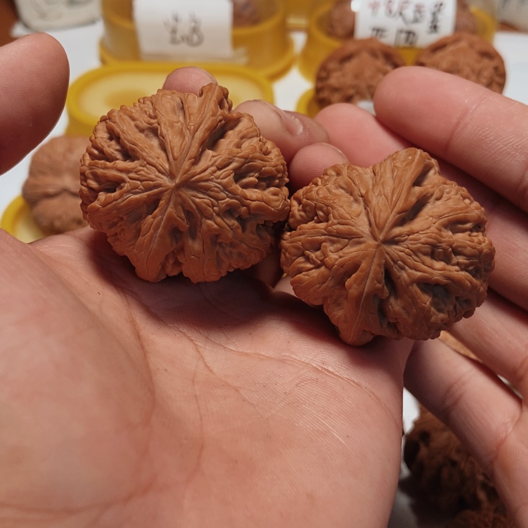 吊坠文玩核桃42全品大粗筋。5