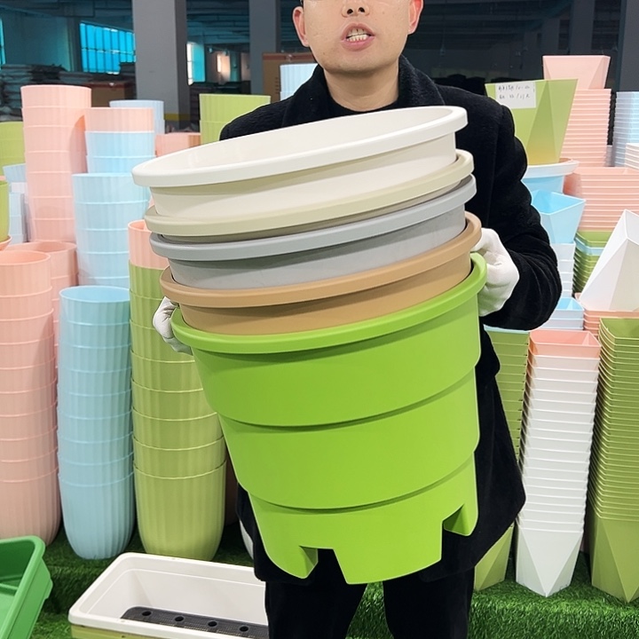 正品蓝莓盆口39高33白色3只无托