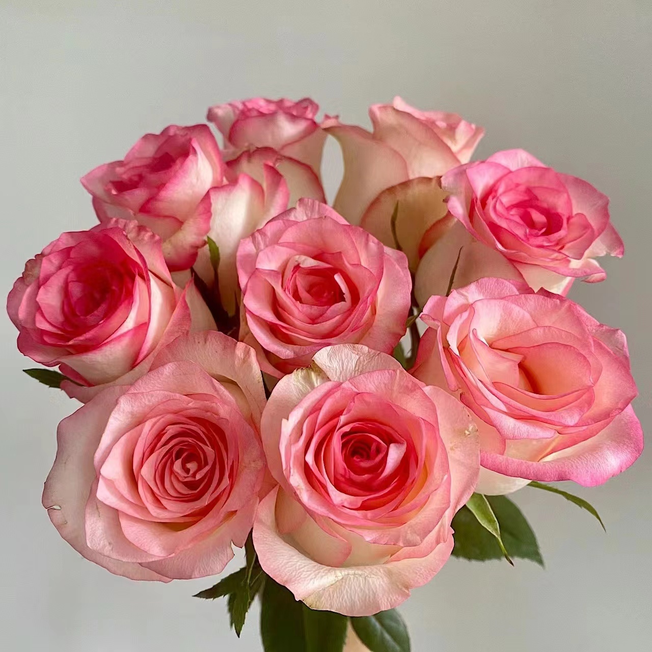 套餐6【艾莎5枝+香槟玫瑰5枝+香水百合4-5朵+洋桔梗1把+洋甘菊1把】