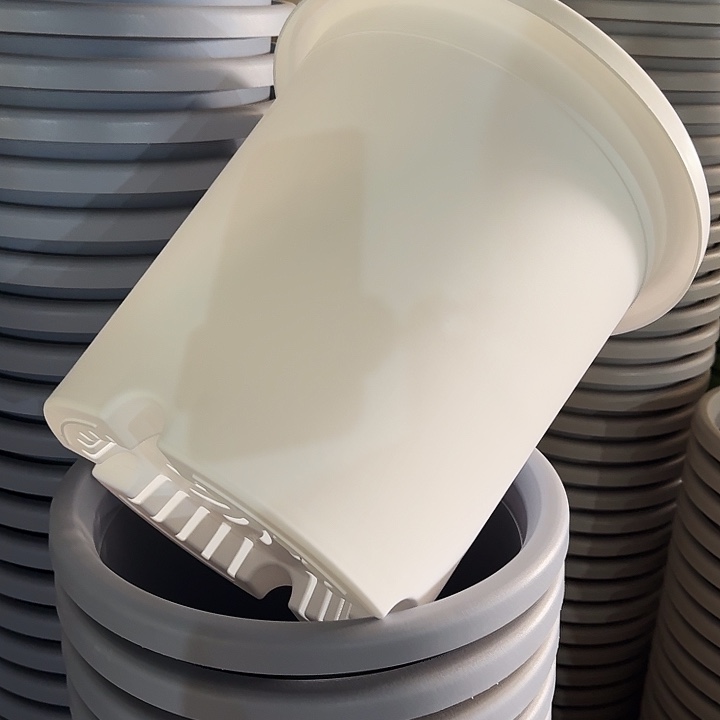 四季7号纯白无托6个特价微瑕