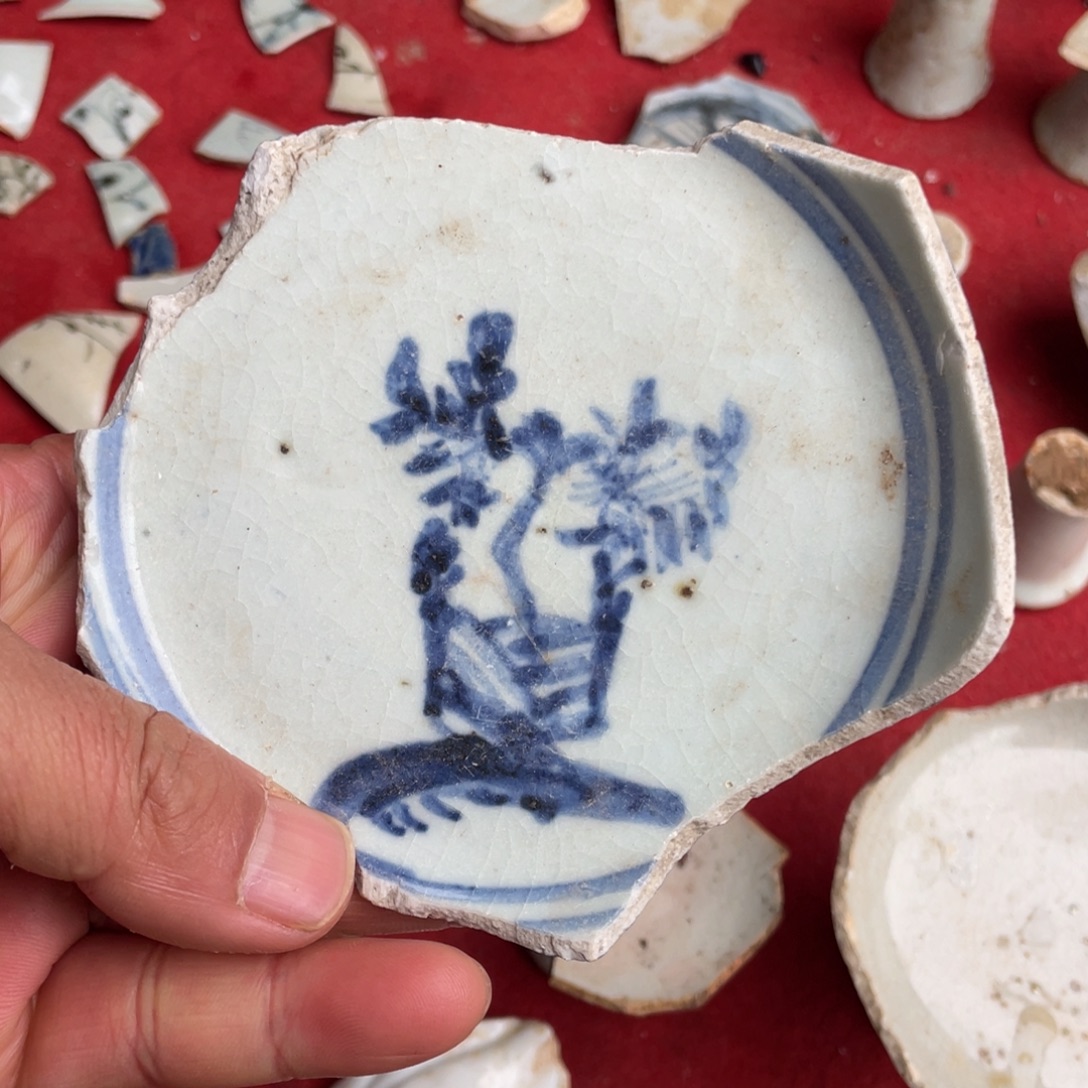 瓷片瓷片瓷片瓷片标本