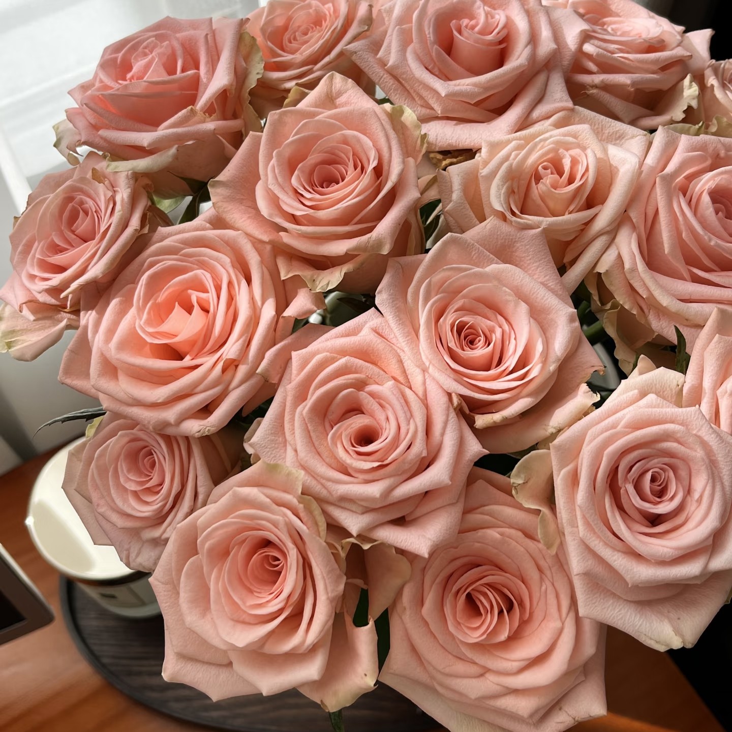 【柏拉图18枝+2枝防损】三扎包邮低温拍保温棉否则冻坏不售后