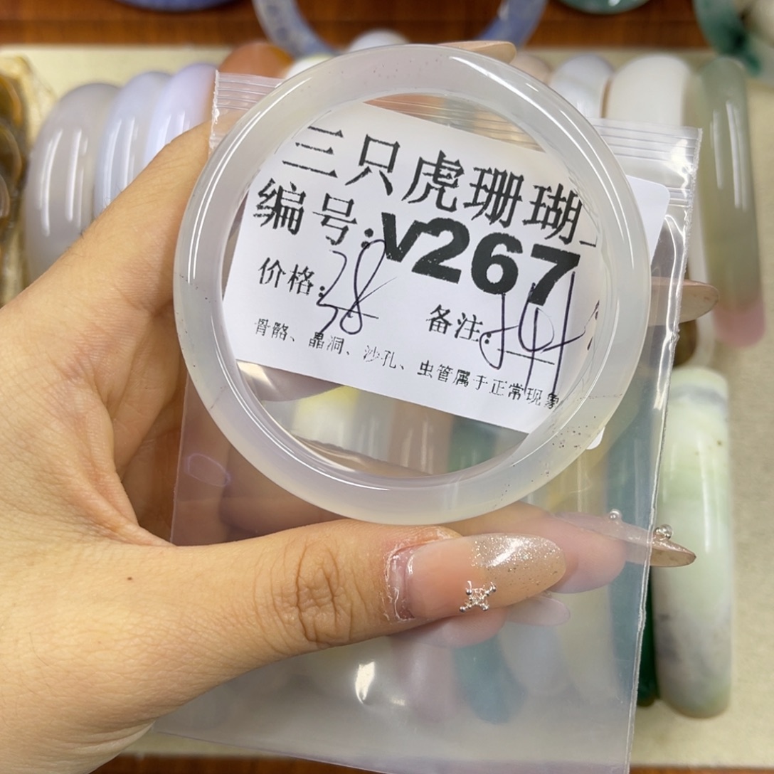 无***念硅化珊瑚（珊瑚玉）未镶嵌h