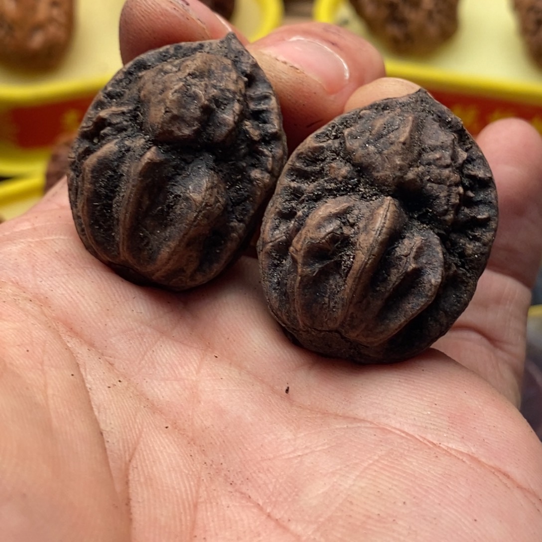 文玩核桃吊坠楸子115