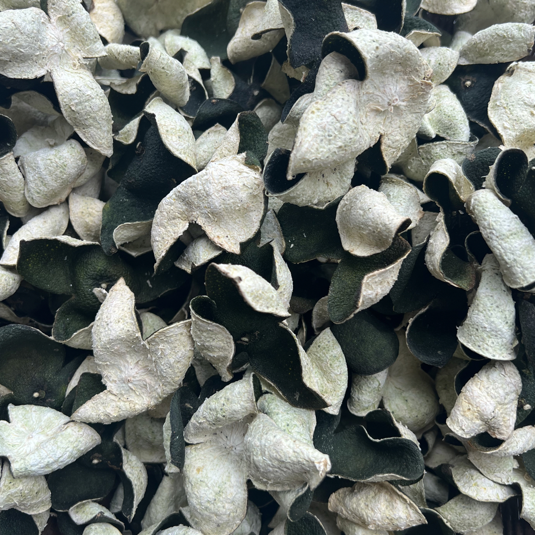 2025年10月份采摘生晒中大青皮（茶枝柑）