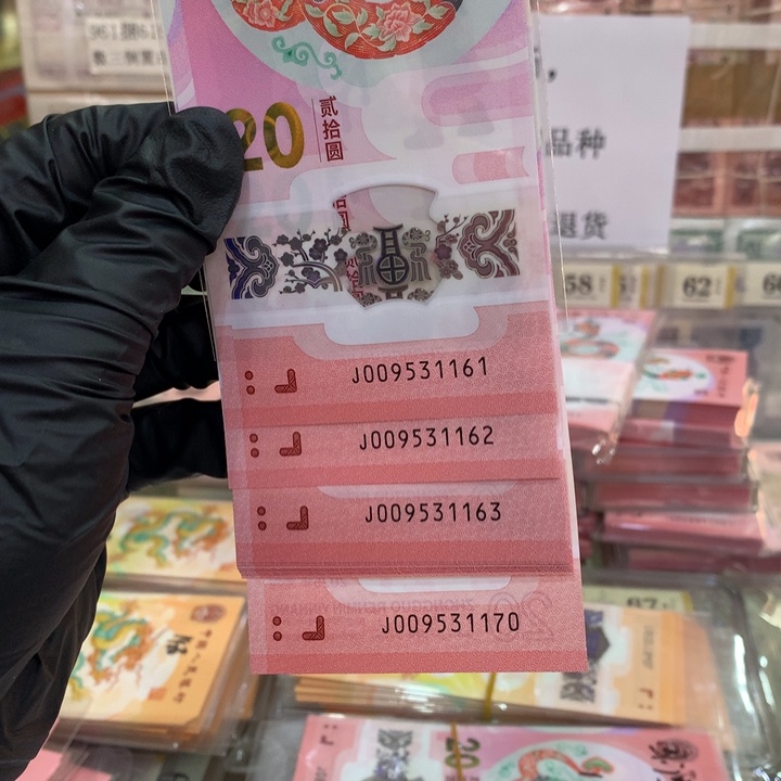 塑料至尊蛇一路发标十009531161