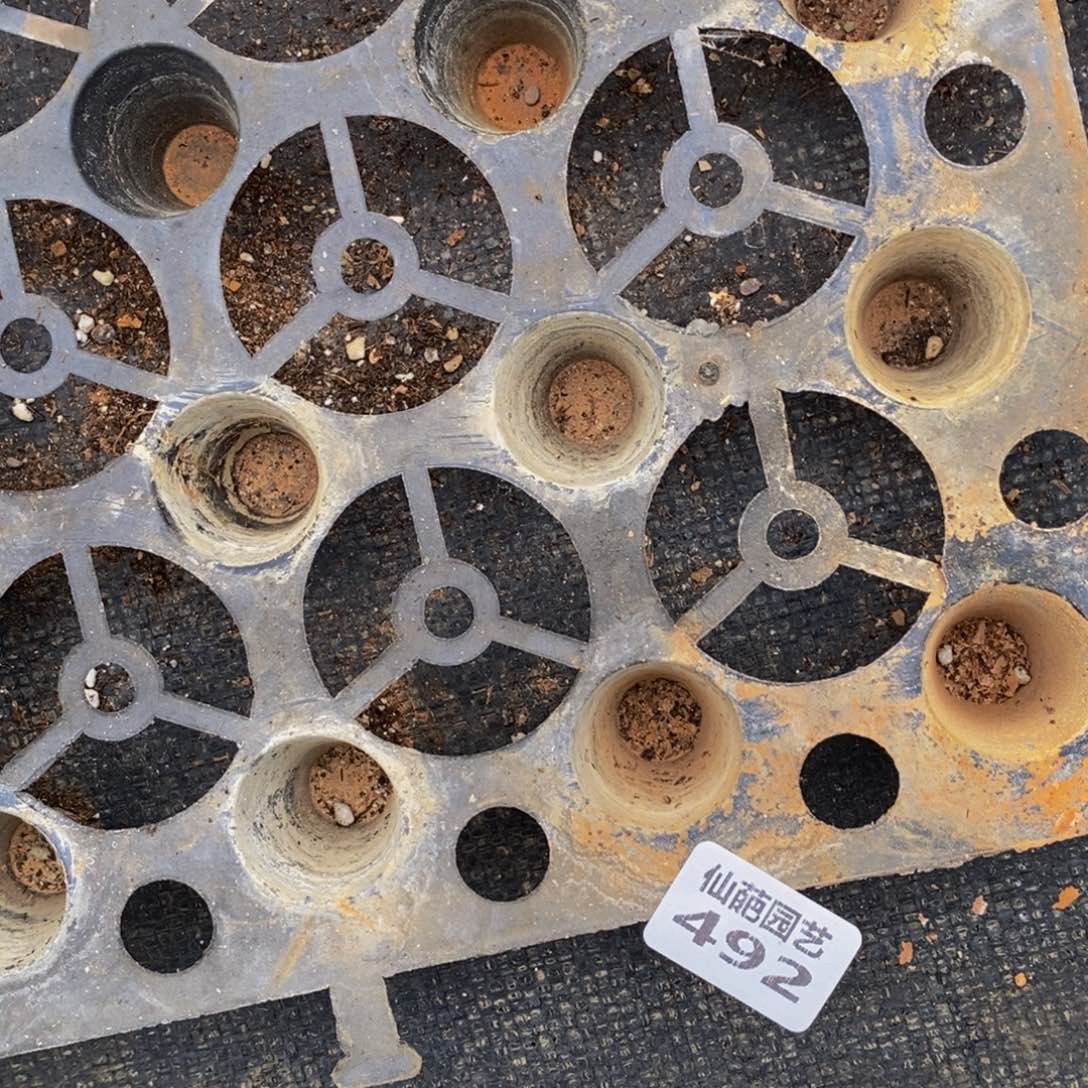 一***✨492的人生态度就是这样