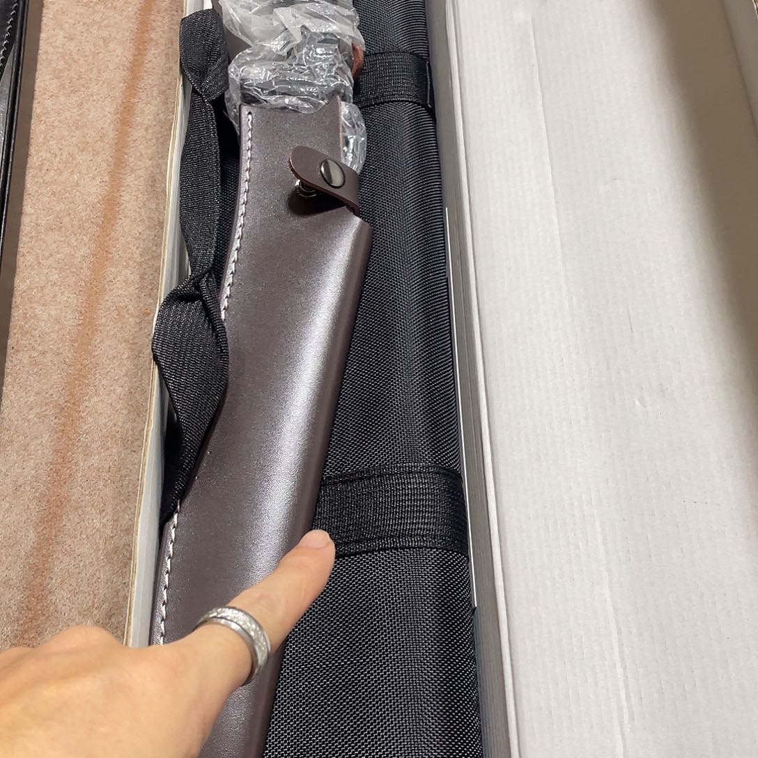 金属雷龙腿11111111