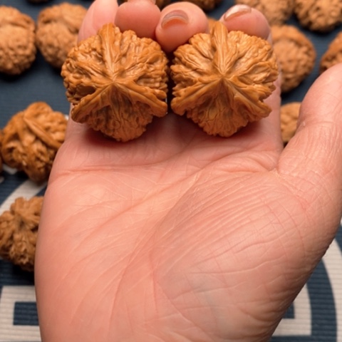 橄榄核手串/手链汪*文山三棱