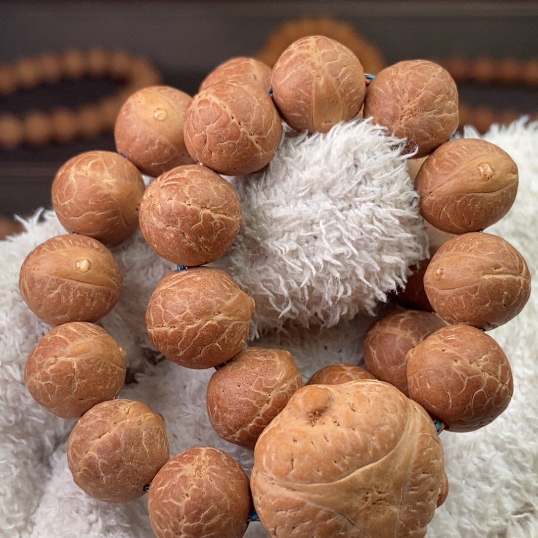 凤眼菩提手串尼泊尔凤眼实心11