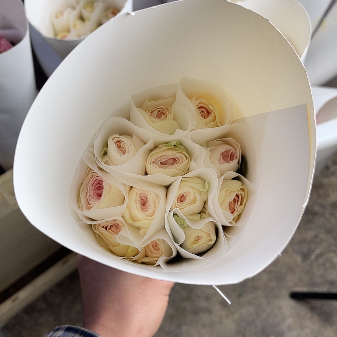 全部花苞德芮尔（假日岛芍药）单头10枝