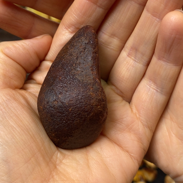 嬎***蛋定制琥珀未镶嵌天然原矿假一赔十