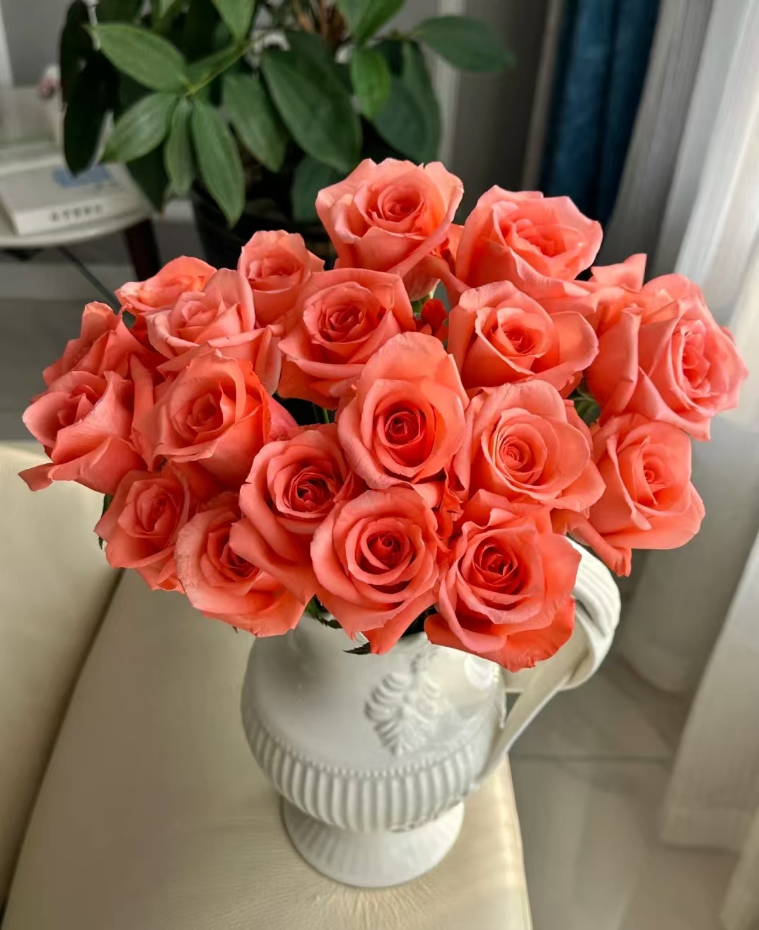 【影星】单头玫瑰 真花鲜切花云一单中通 拍够任意两单鲜花顺丰