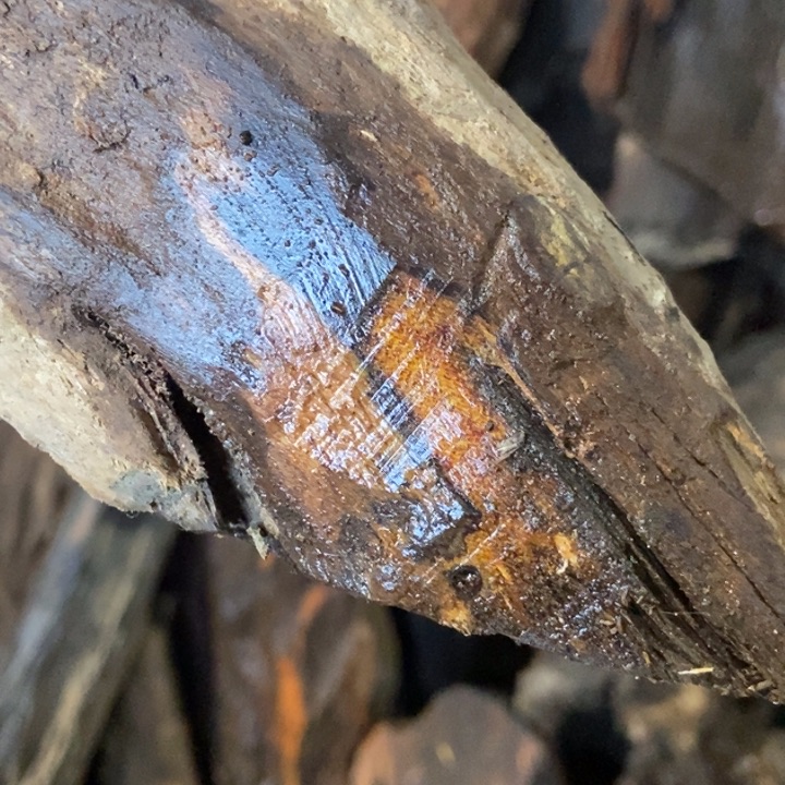 K***K贡木把件定制不退不换