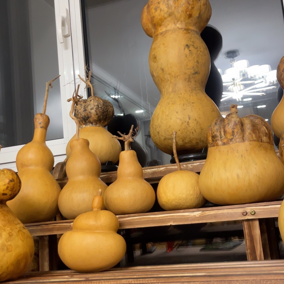 高*芬我也不知道我为什么要这样对你呢我