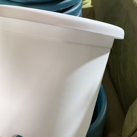 树脂四季3#无托纯白10个