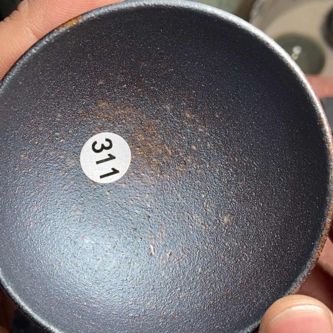 茶盏加油加油哦我311