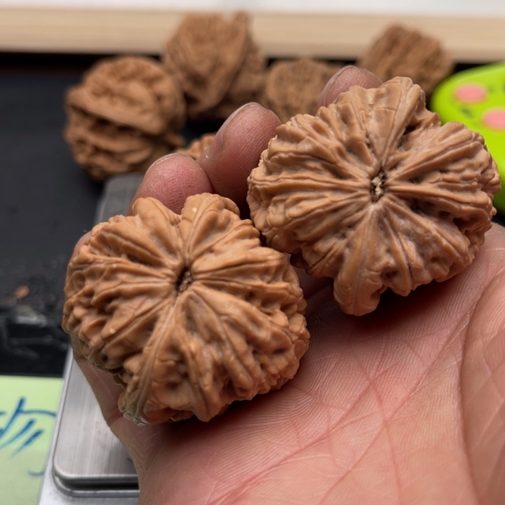 向****吊坠文玩核桃文玩核桃链接专属44号