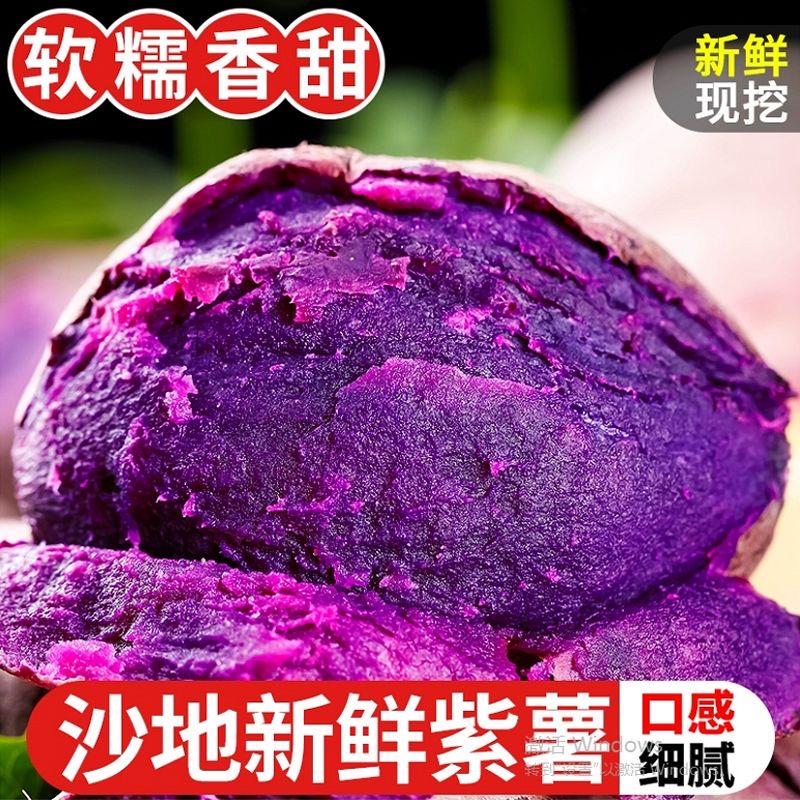 Z2（新鲜采摘）新鲜沙地紫薯紫罗兰紫薯红薯番薯地瓜甜糯5/9斤