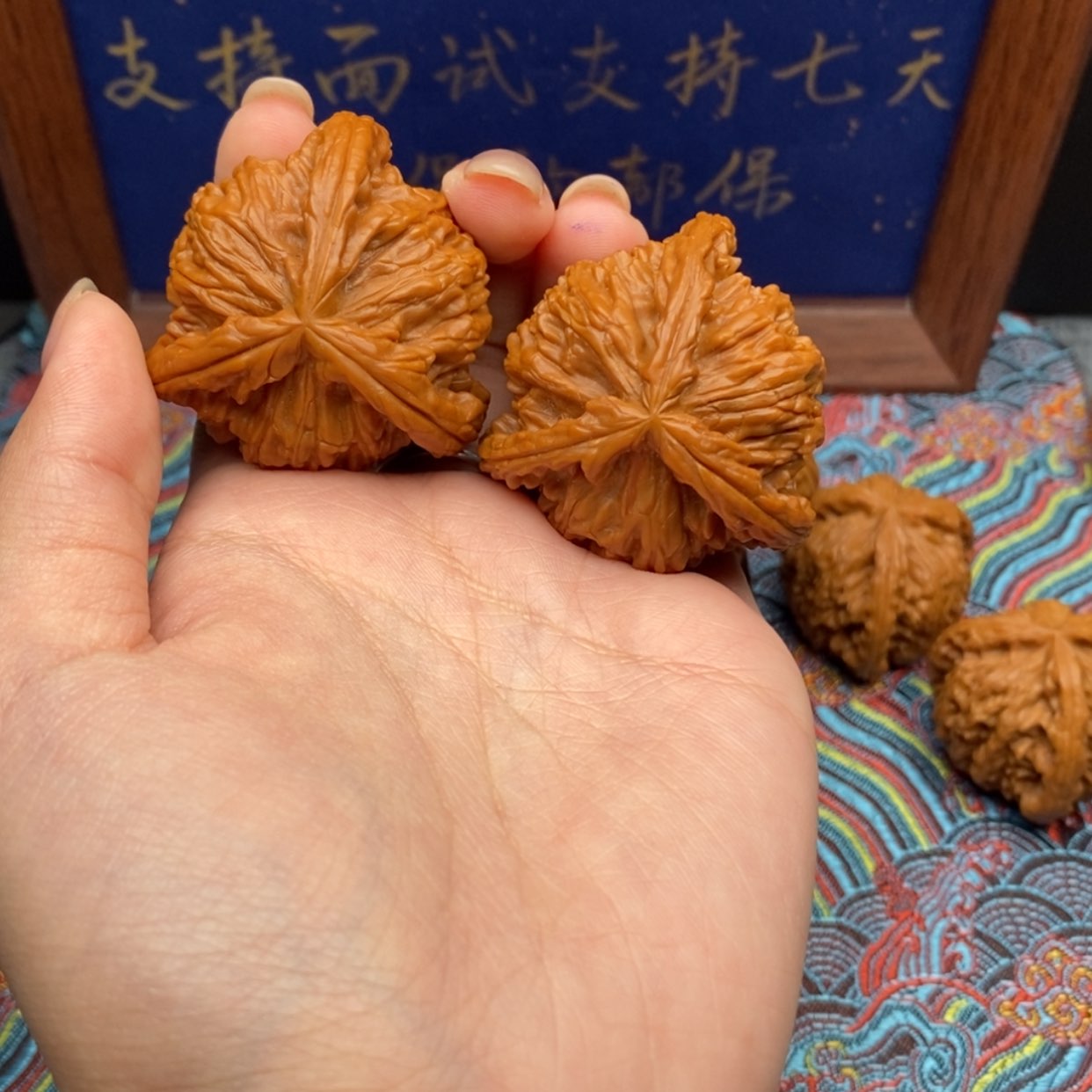 【闪购商品】S****⁹白狮