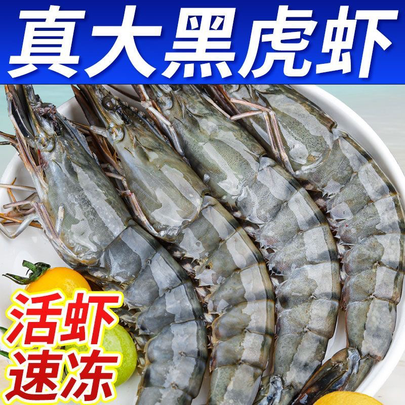 特大号1315规格每盒净重3斤22只左右黑虎虾鲜活速冻顺丰无冰衣