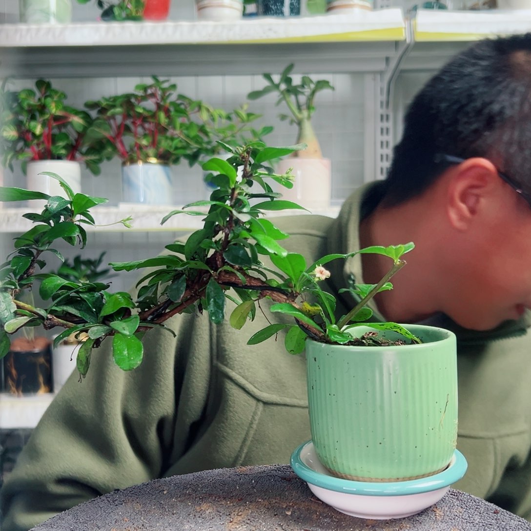 捏***吱无花朵58                   