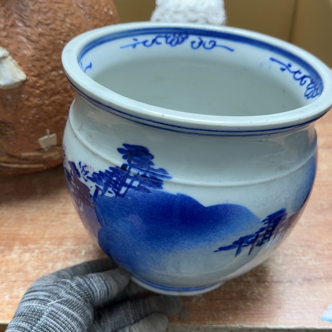 茶宠是因为它可以把自己所