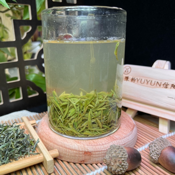 豫韵信阳绿茶毛尖明前茶何家寨521名山茶花香味浓香耐泡新茶叶