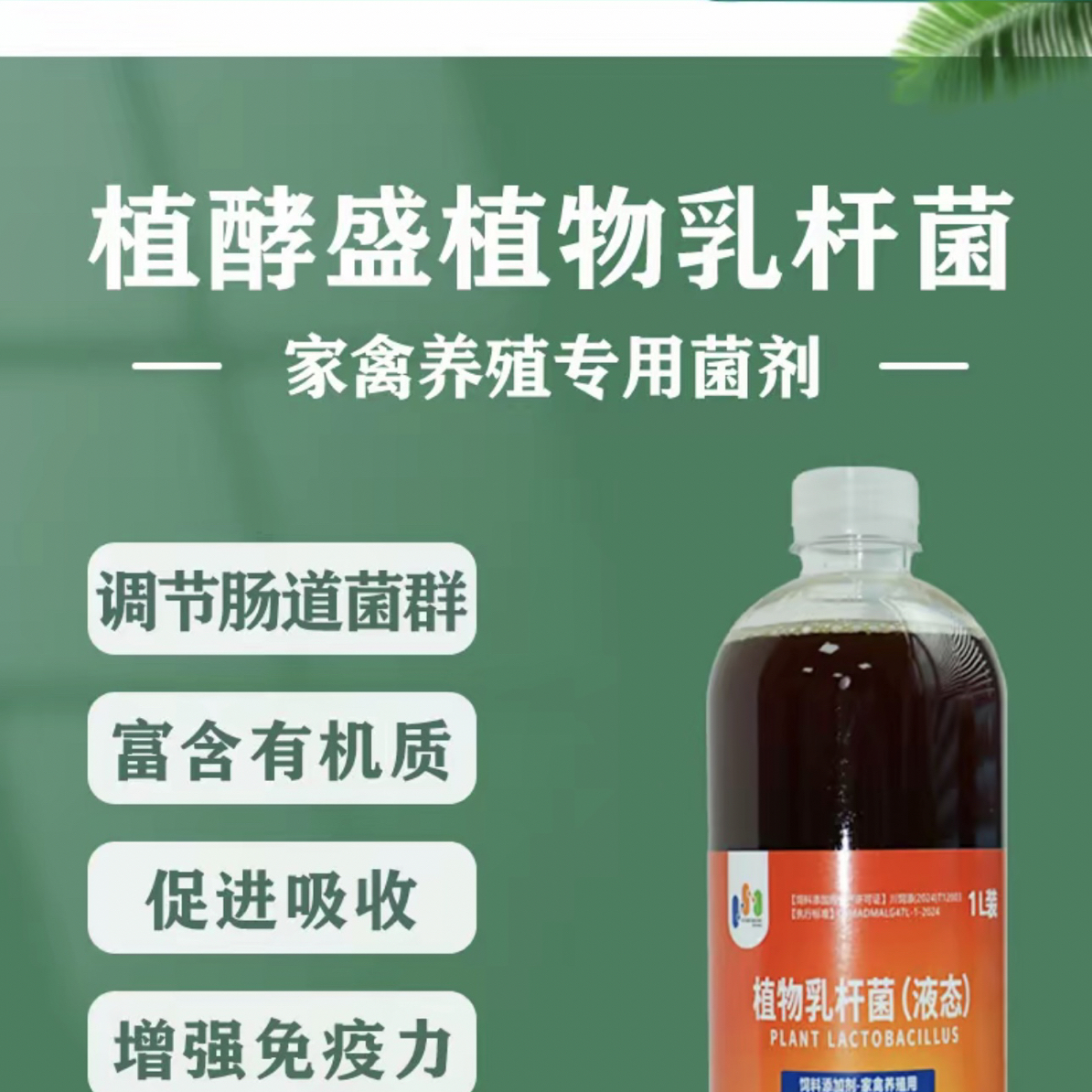 植物乳杆菌养殖鸡鸭鹅专用