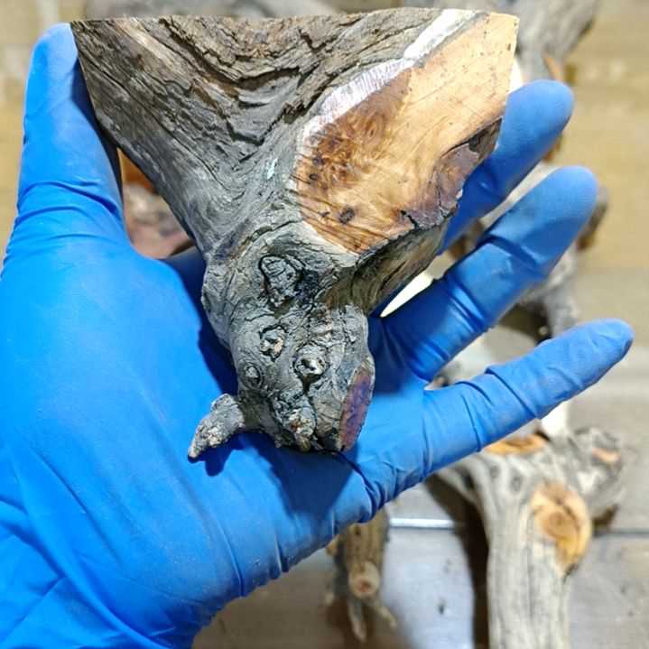 风***梦香榧木崖柏随行毛料毛料毛料