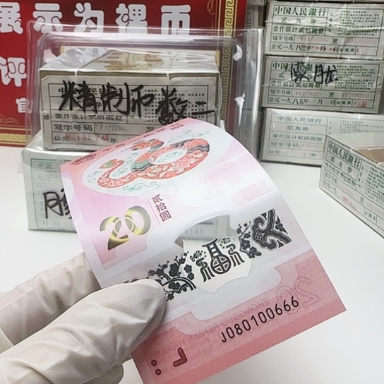 080100666………………………………