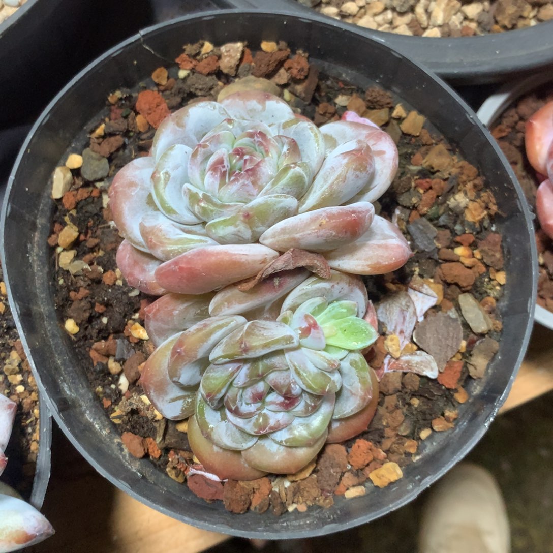 哈哈哈哈哈哈哈哈哈