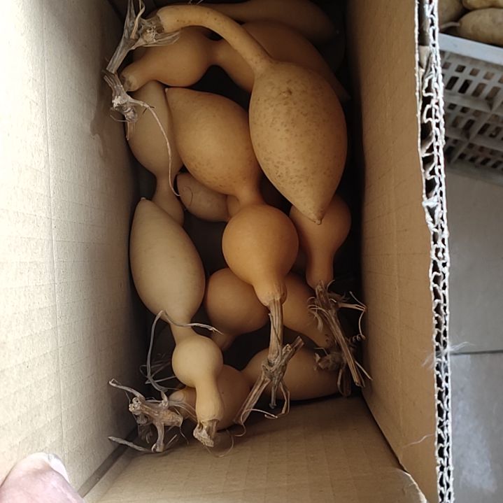 善***心文玩核桃吊坠蚂蚁葫芦10个