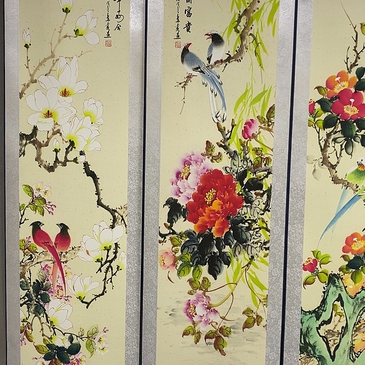 DVDVCD吐目录女童