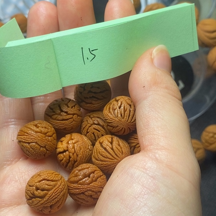 桃核吊坠秦岭野生龙纹桃核