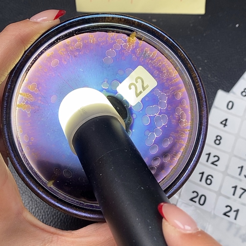 【闪购商品】茶盏22