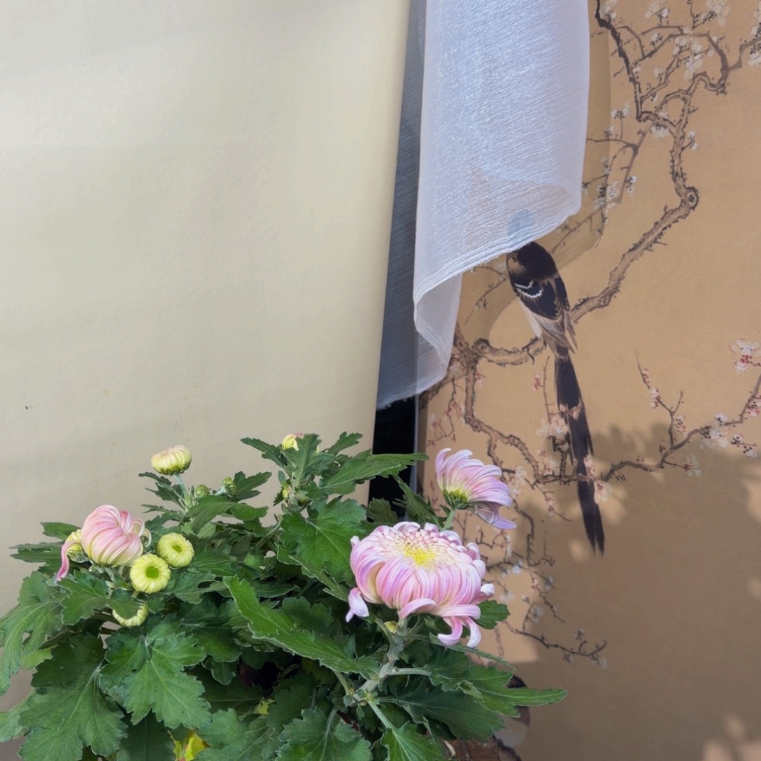 完全开放R111111111