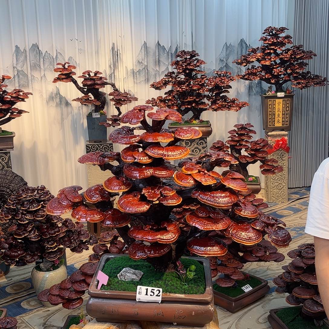 颜***叔无花朵88888888888