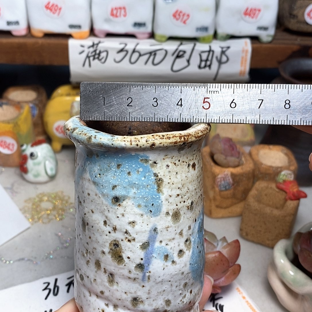 红陶拍5送一个小